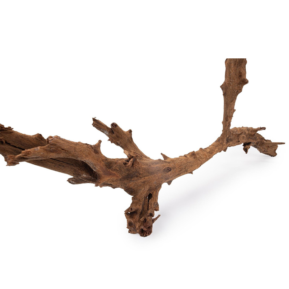 Happet Korzeń Mangrowca L do akwarium i terrarium - gałąź 70-90cm